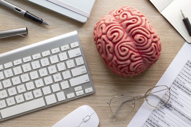 Brain model next to research notes